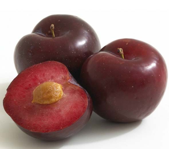 三华李的营养价值_三华李的功效与作用_三华