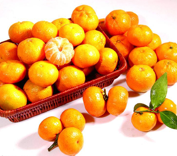 冰糖桔的营养价值_冰糖桔的功效与作用_吃冰