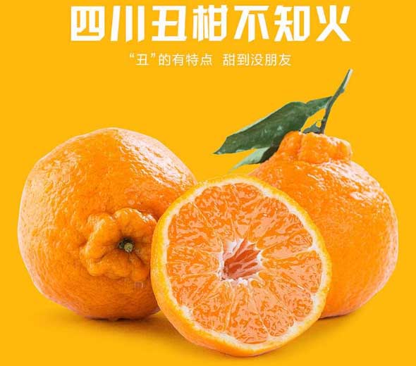 丑橘的营养价值_丑橘的功效与作用_丑橘是转