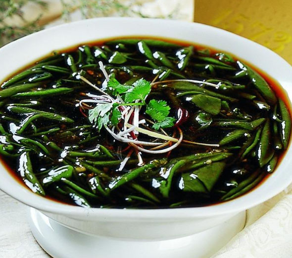 莼菜文章列表_5号网