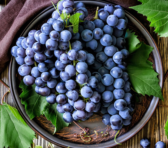 夏黑葡萄的营养价值_夏黑葡萄的功效与作用_