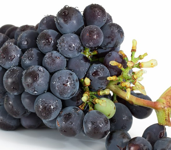 夏黑葡萄的营养价值_夏黑葡萄的功效与作用_