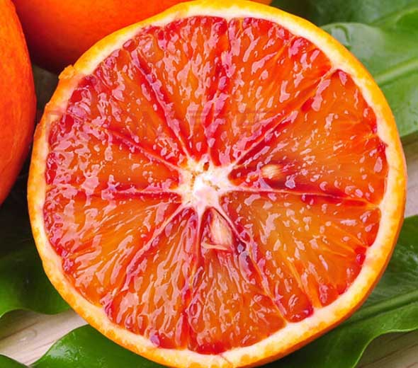 血橙的营养价值_血橙的功效与作用_血橙和普