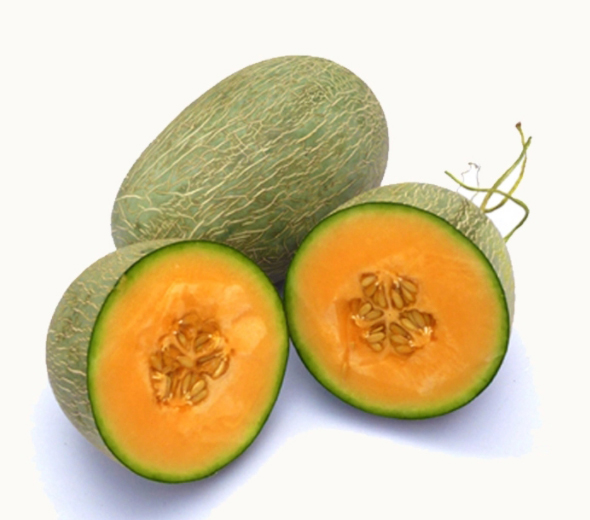 西州蜜瓜的功效作用_西州蜜瓜和哈密瓜区别_