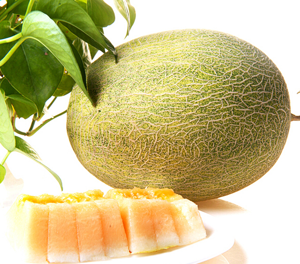 西州蜜瓜的功效作用_西州蜜瓜和哈密瓜区别_